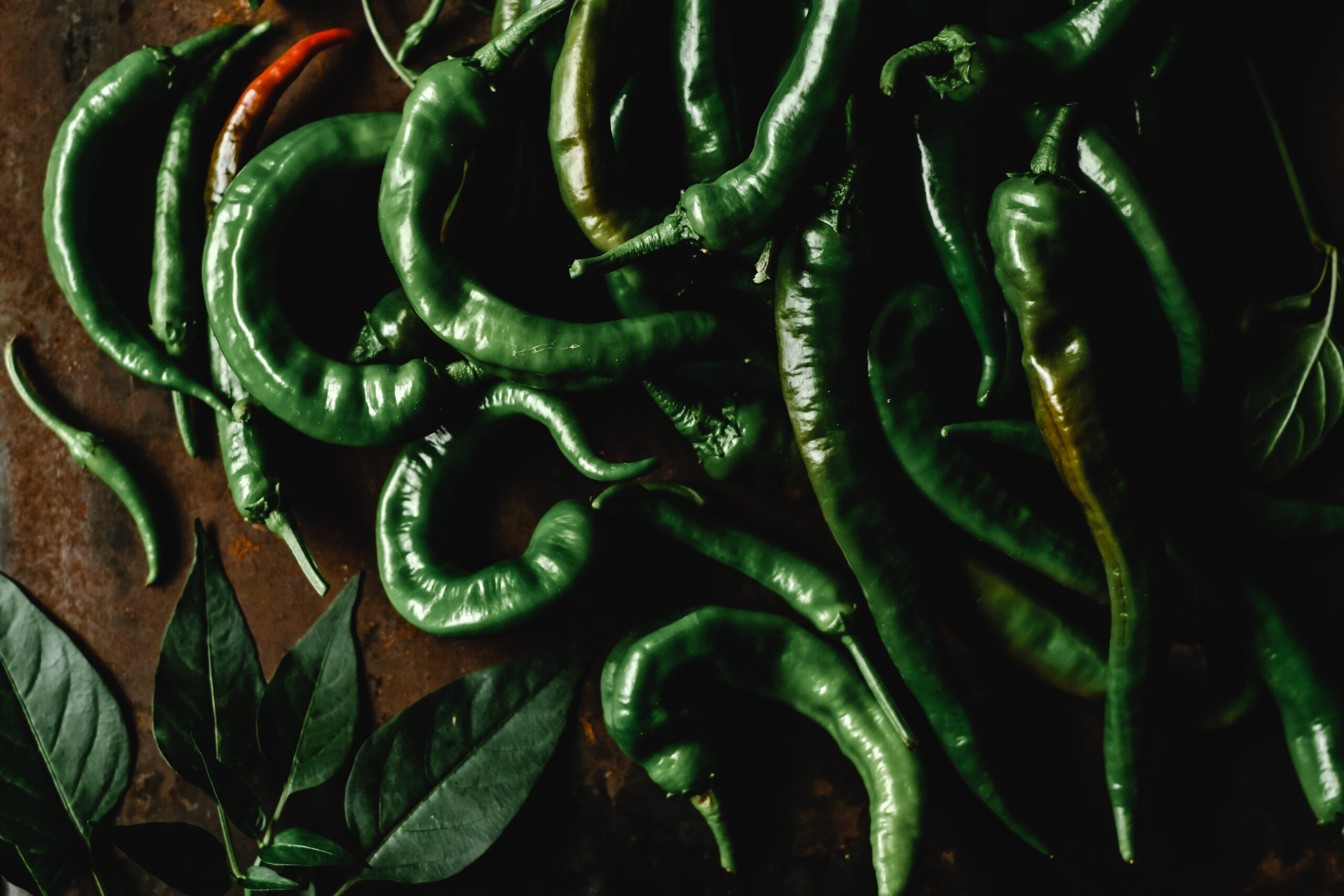 green chilli exporters in India | green chilli suppliers in India