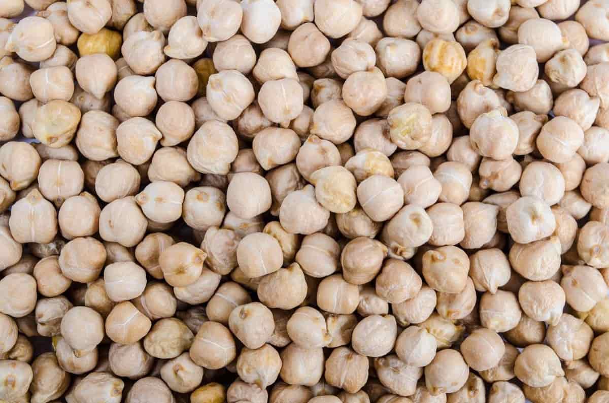 chickpeas exporters in India | chickpeas suppliers in India