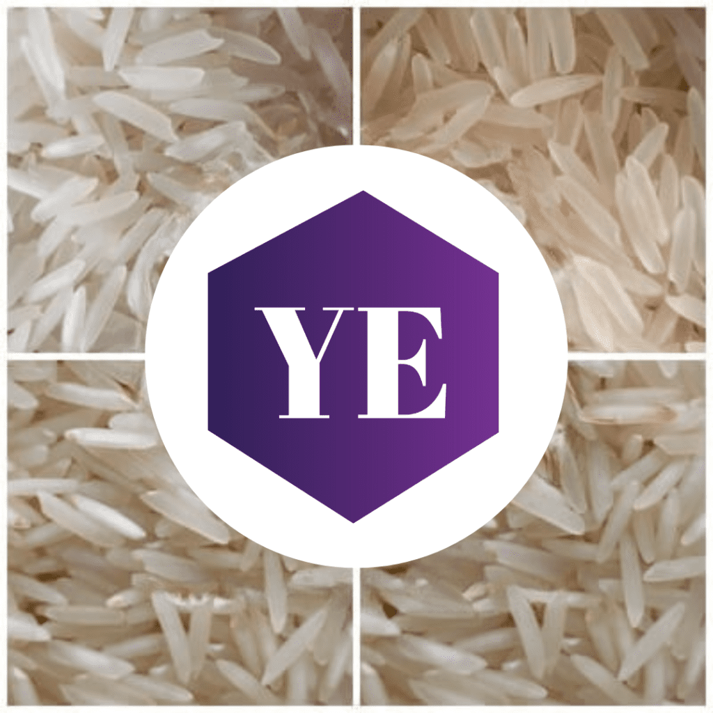 basmati rice exporters in India | basmati rice suppliers in India
