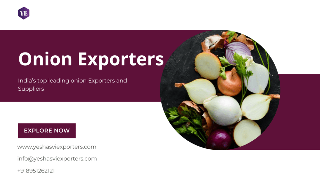 onion exporters in India | onion suppliers in India