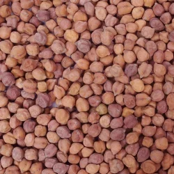 chickpeas exporters in india | chickpeas exporters from india
